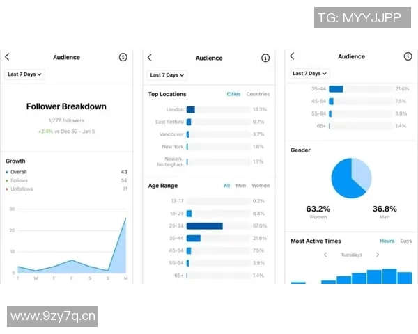 深入探讨Instagram数据分析背后的实力与表现解析